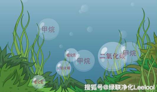 世俱杯官网